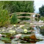 jardins aquatiques st didier sur chalaronne