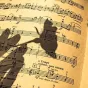 Les pouvoirs thérapeutiques de la musique ©pixabay