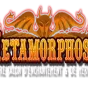 metamorphosis-spectacles.fr
