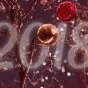 Priscilla Du Preez / Unsplash