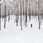 Mārtiņš Zemlickis / Unsplash
