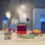 2020 RCF - Exposition Secrets de parfum