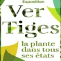 pilat tourisme
