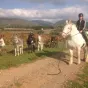 Le Mag (Pays d'Aude)