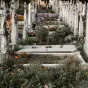 Anton Darius on Unsplash