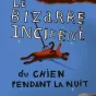 Le bizarre incident du chien pendant la nuit, de Mark Haddon.