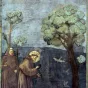 François d'Assise prêchant aux oiseaux par Giotto ©Wikimédia Commons