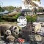 Pairi daiza