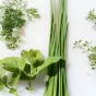 Ces herbes du jardin qui nous gardent en santé ©pixabay