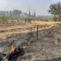 Des hectares de vignes brulées par l'incendie de la Plaine des Maures ©Terre de Vins
