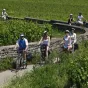 La voie des Vignes aux environs de Beaune