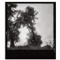 "Paysages avec tombes" ©éditions Calmejane
