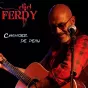© Pochette de l'album "Changer de peau" de Did Ferdy
