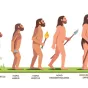 De Neandertal à l'Homo Sapiens © iStock