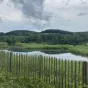 Le Marais de l'Etournel RCF