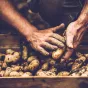 Aider les communes rurales à développer l'agriculture biologique © iStock