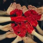 © Image d'illustration - Unsplash.com