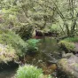 Forêt de Huelgoat ©RCF Sud Bretagne