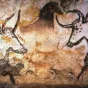 Aurochs représentés dans la grotte de Lascaux ©Wikimédia commons