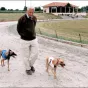 © Michel De Romans entouré de ses lévriers / Maylis Saumonneau de Romans