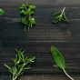 plantes
