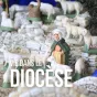 Diocèse de Luçon