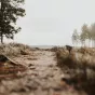 © Unsplash