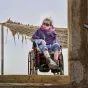 Le handicap, des réponses dans la Bible ? © petiteecolebiblique.fr