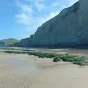 plages et falaises de la Côte d'Opale au moment du jusant