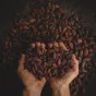 ©Unsplash
