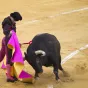 Le matador espagnol Juan Ortega face au taureau dans l'arène de Malaga, le 20/08/2021©JORGE GUERRERO / AFP