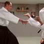 Un mouvement d'aïkido ©Kenji Lee, Chris Mikkelson.
