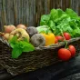Panier de Légumes ©Pixabay