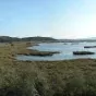 L'étang de Campignol