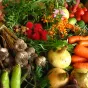 Circuits courts et alimentation locale