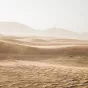 Un carême au désert