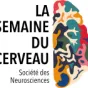 Semaine du cerveau