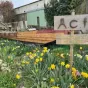 Les jardins du Coeur DR Philippe Maciag