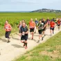 Le Trail de Sancerre © Nicole Gevrey.