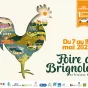 Foire de Brignoles