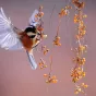 Un atlas de la biodiversité en cours d'élaboration à Châteauroux Métropole.