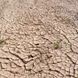 sécheresse ©Pixabay
