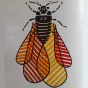 Philloxera