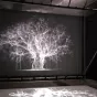Mat COLLISHAW (Nottingham, 1966) Albion 2017