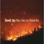 Nos vies en flammes (Joy - Sonatine)