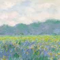 Exposition au musée d’art moderne « Métamorphoses. Dans l’art de Claude Monet »