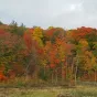 Paysage Montreal