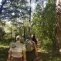 Balade en forêt de Brocéliande. ©Margot Douétil