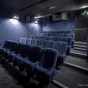 Cinéma Lumière Fourmi - © Collection Institut Lumière