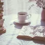lecture de l'été - © Freestocks via Unsplash